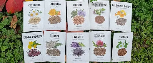 Medicinal Garden Kit herbs