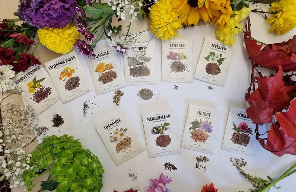 medicinal herb garden seeds kit​